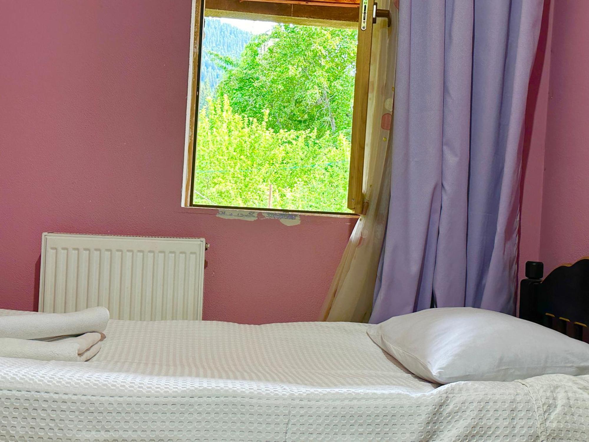 Mziuri Guest House ميستيا المظهر الخارجي الصورة