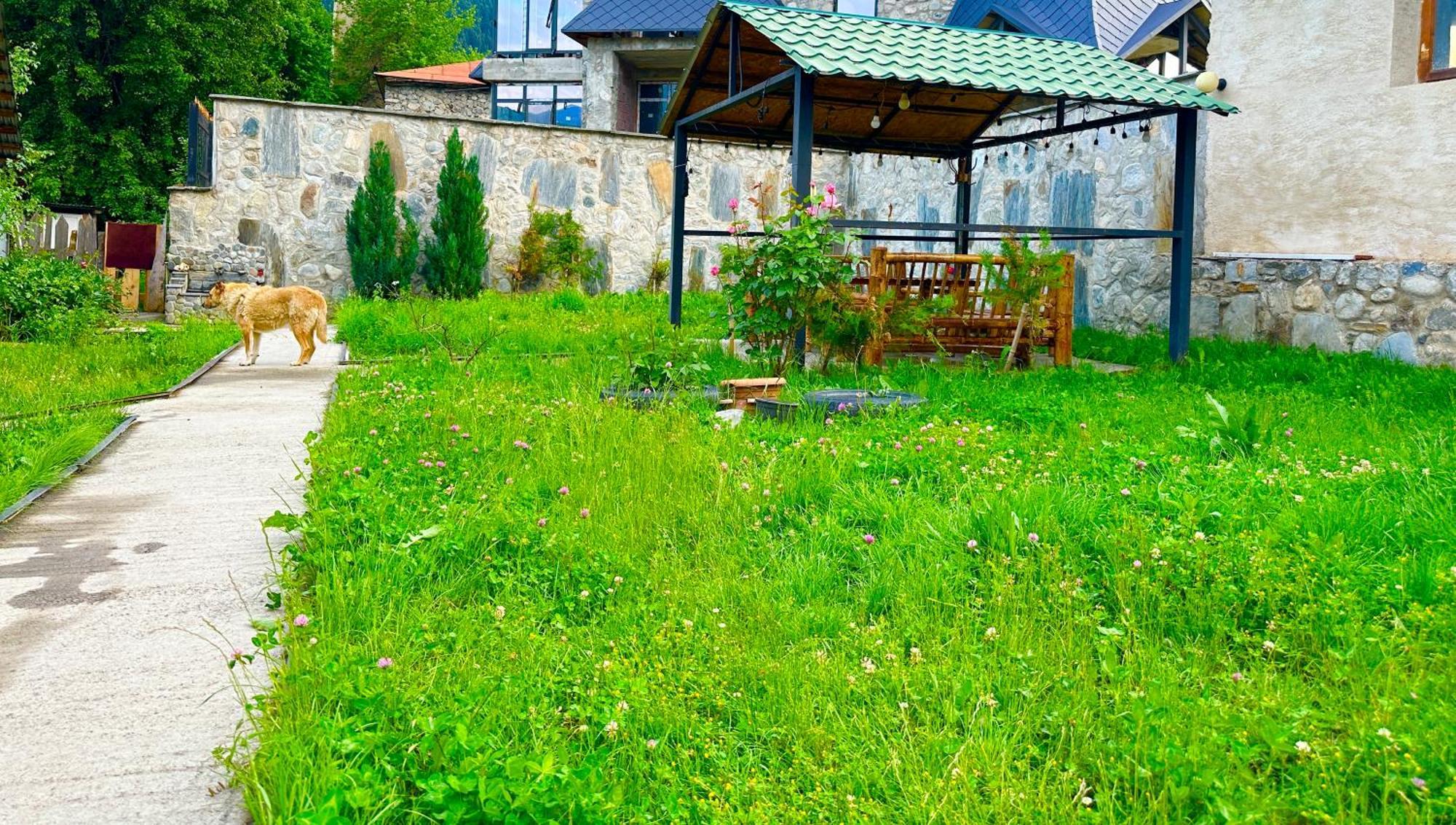 Mziuri Guest House ميستيا المظهر الخارجي الصورة