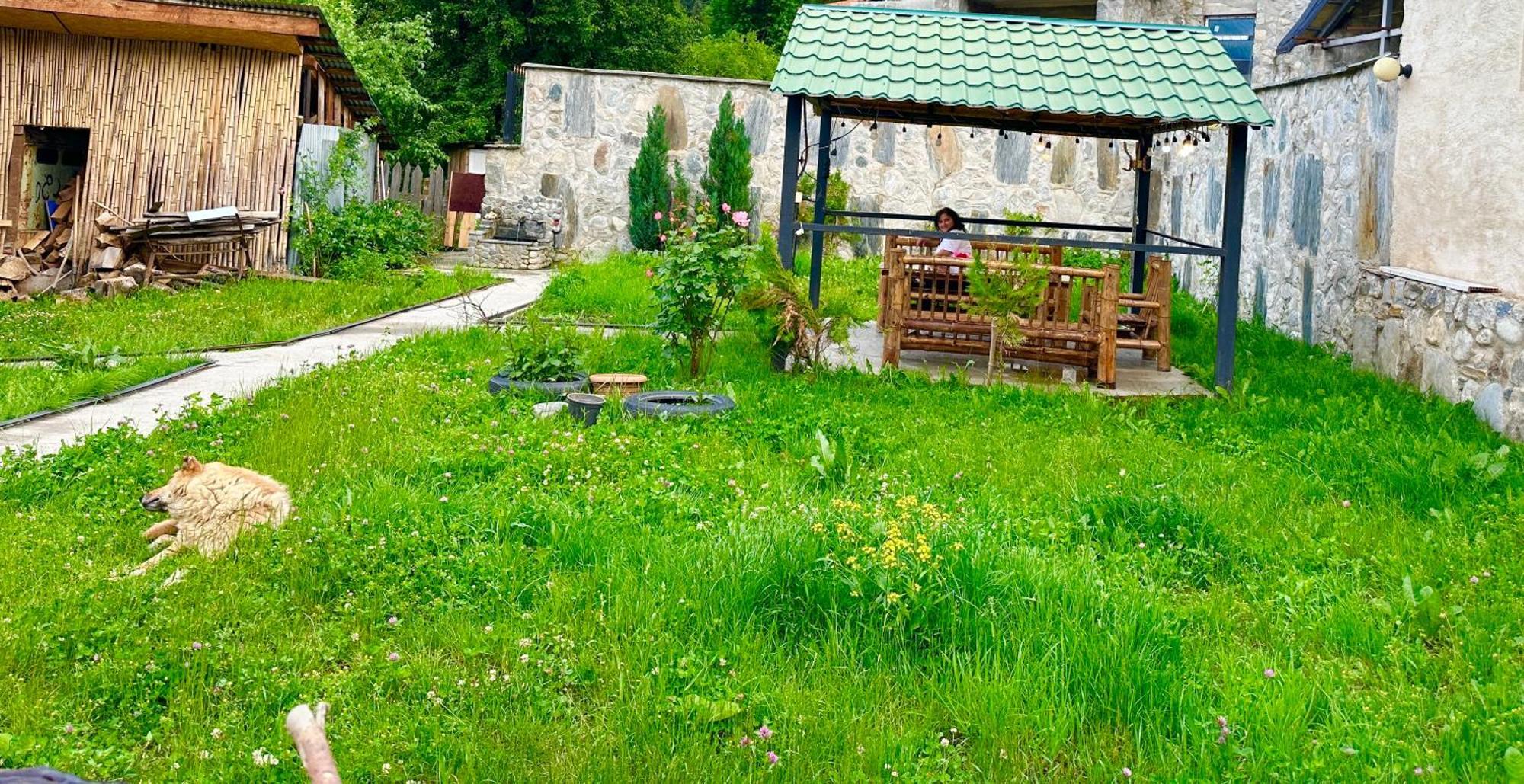 Mziuri Guest House ميستيا المظهر الخارجي الصورة