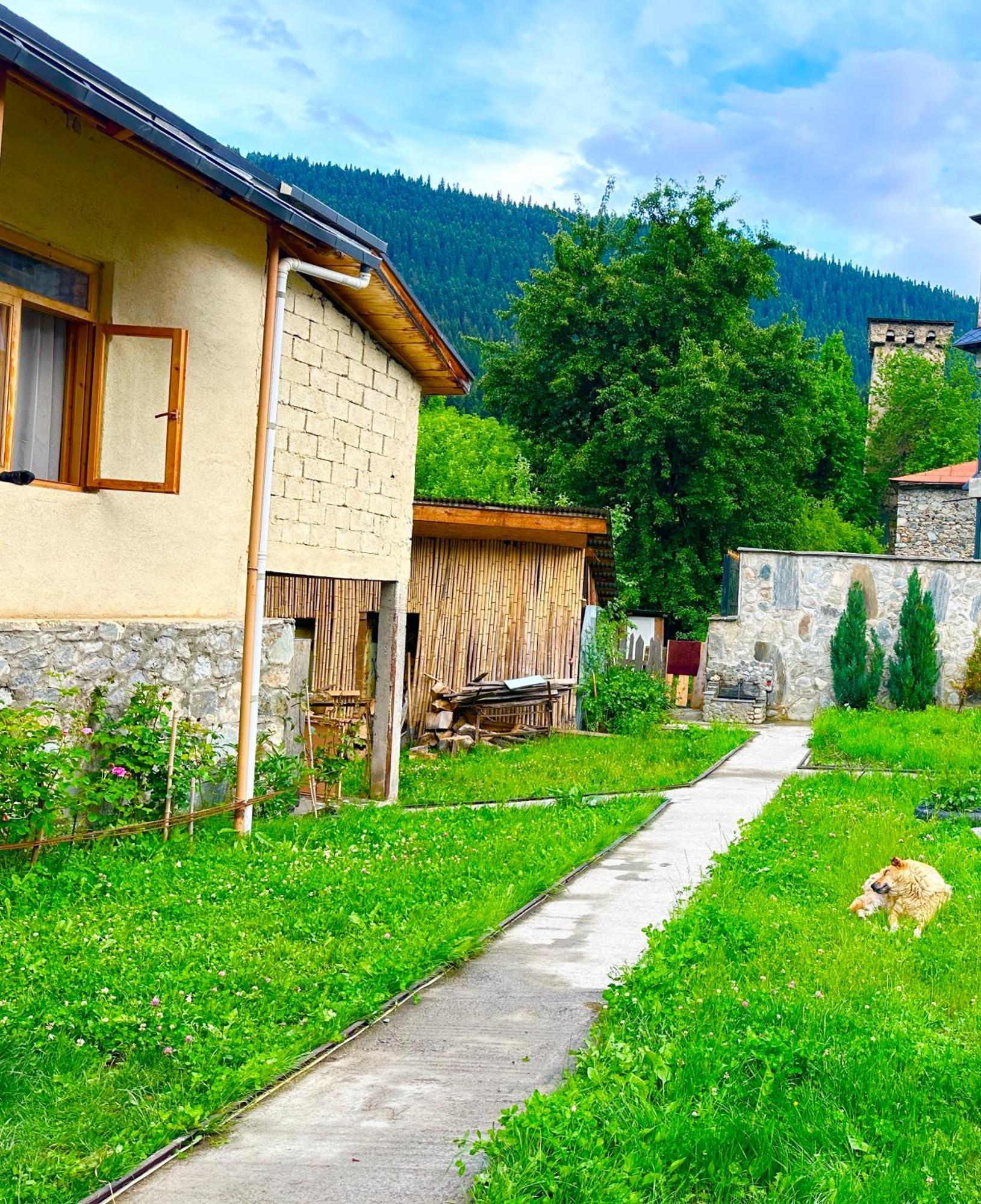 Mziuri Guest House ميستيا المظهر الخارجي الصورة