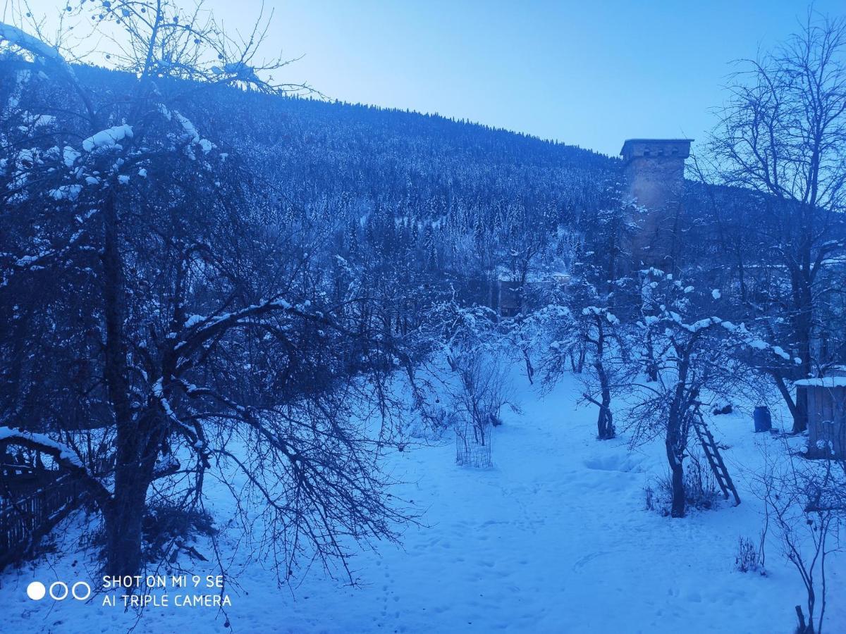 Mziuri Guest House ميستيا المظهر الخارجي الصورة